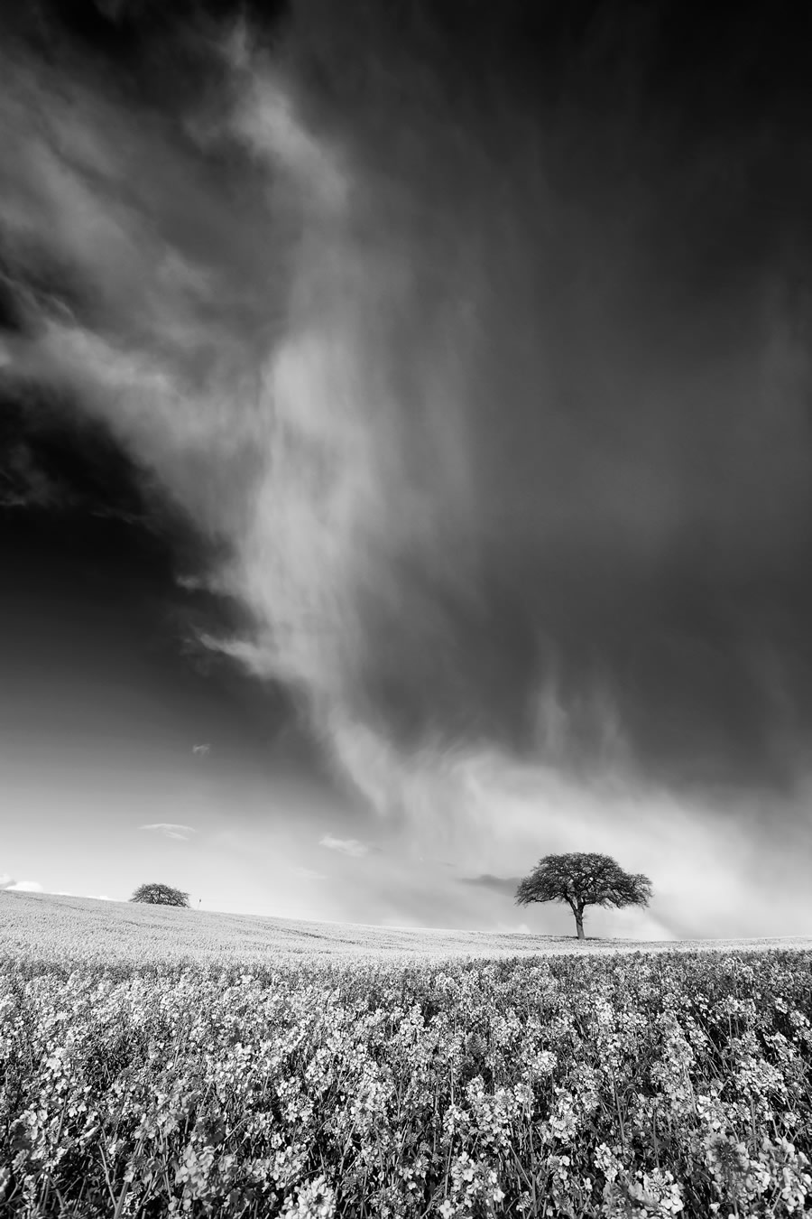 Expert 9th: ‘Passing Storm’ by Kathy Medcalf - Location: Nottinghamshire, England 